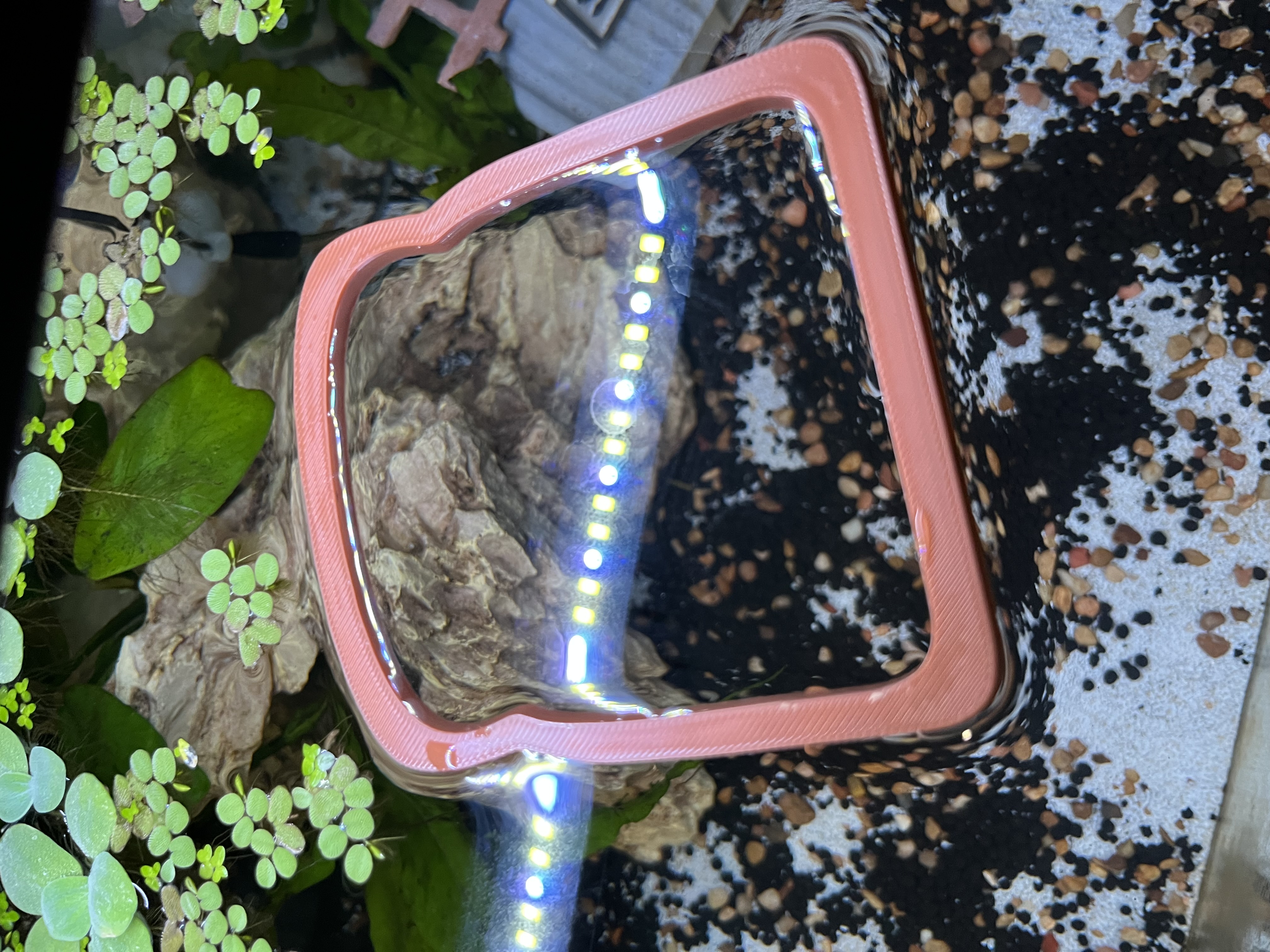 Bread fishportal/feeding ring or portal.
