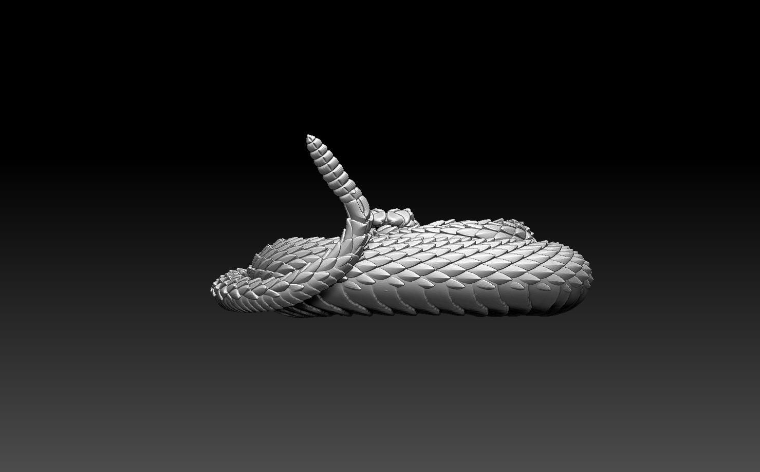 snakes — miniatura 28