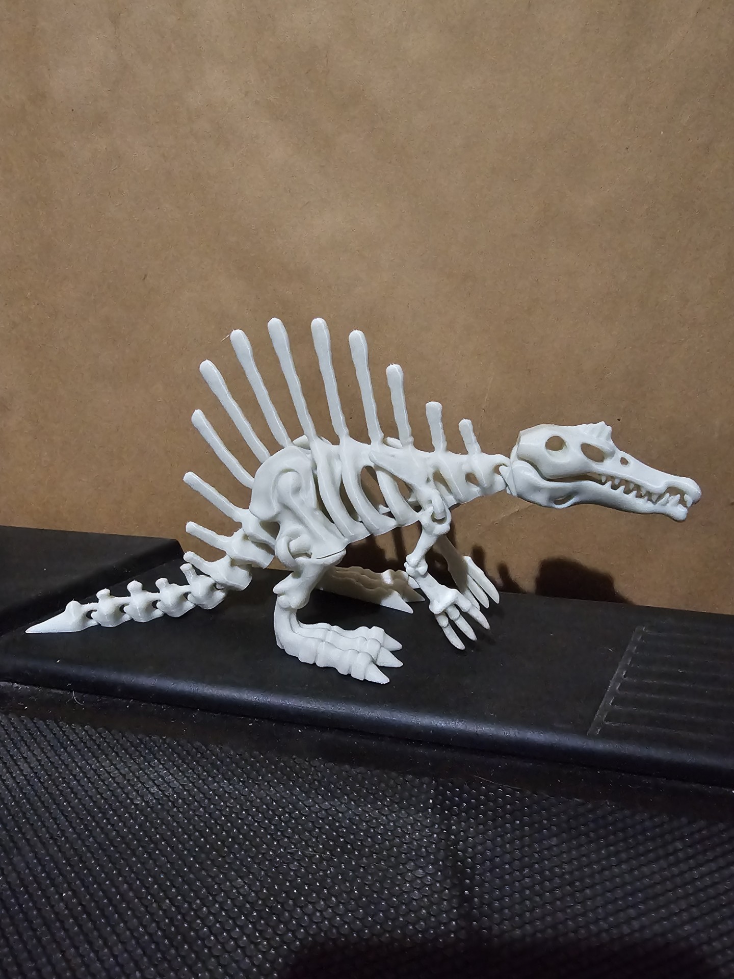 Articulated dinosaur skeleton 4