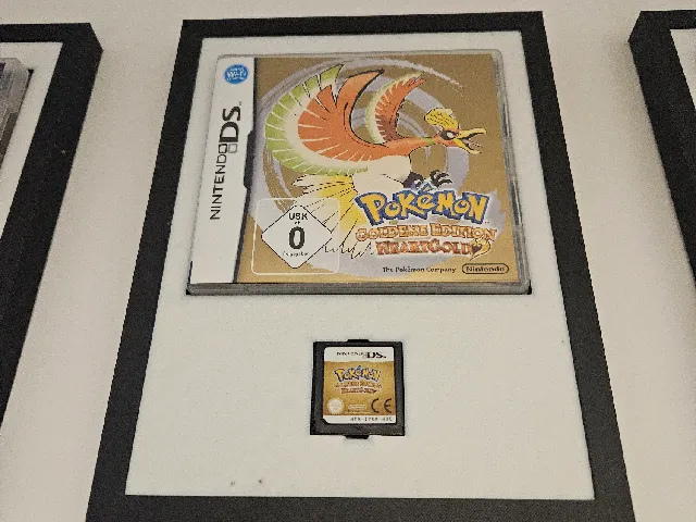 Nintendo DS Display frame for module + box