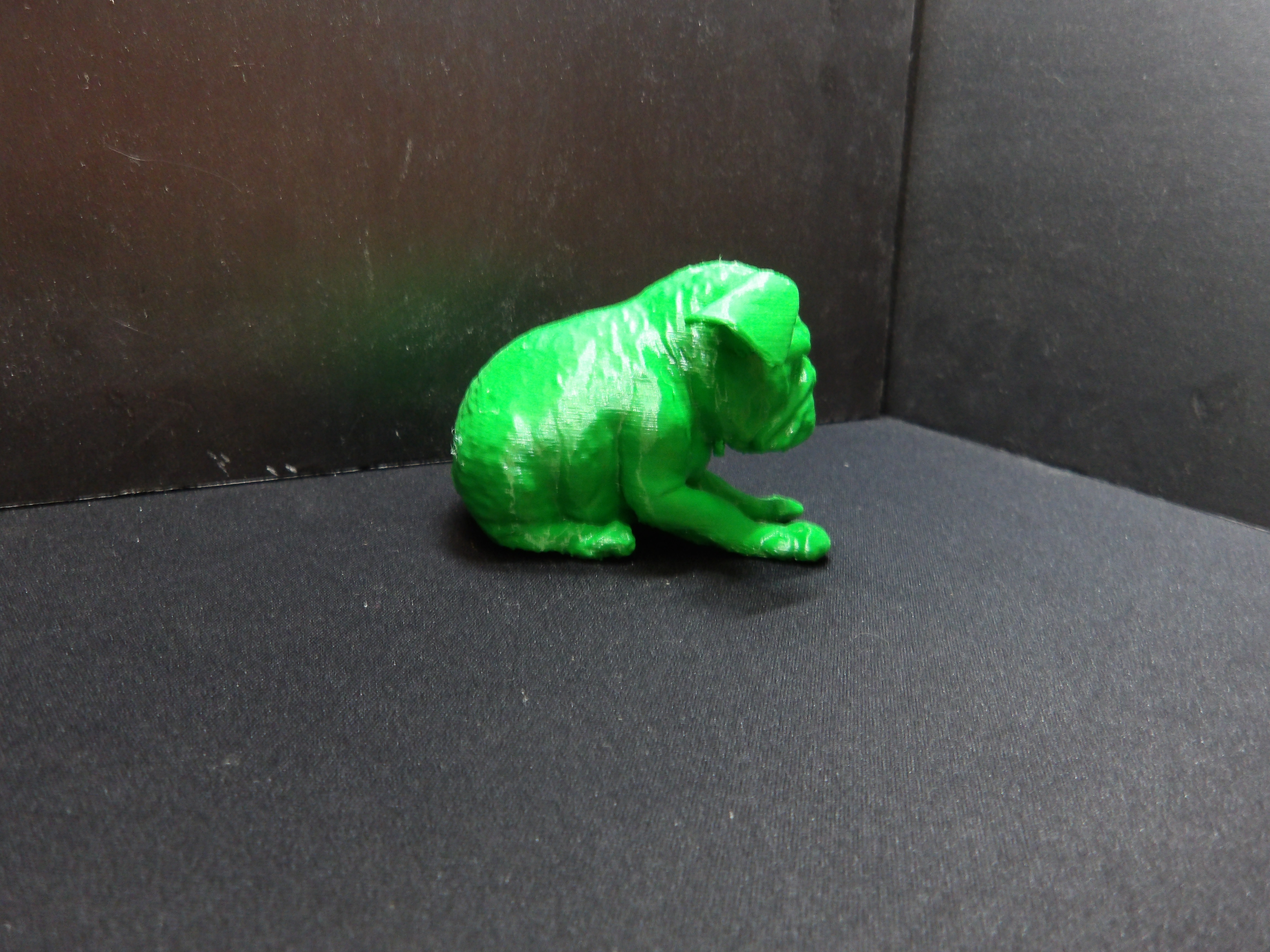Miniatura 2 do modelo 3D A Grumpy dog.