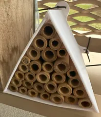 Insect Hotel