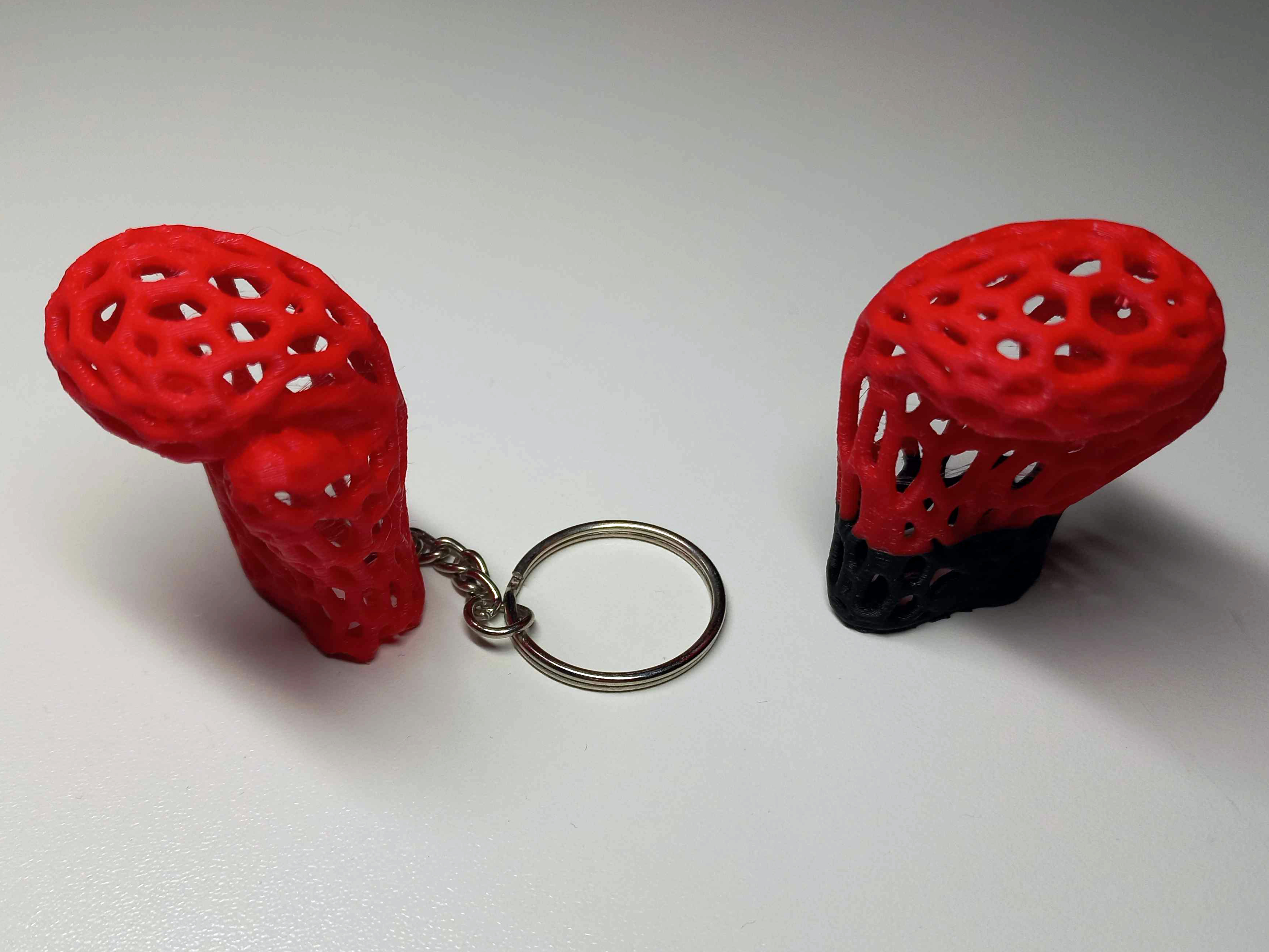 Small Boxing Glove Voronoi