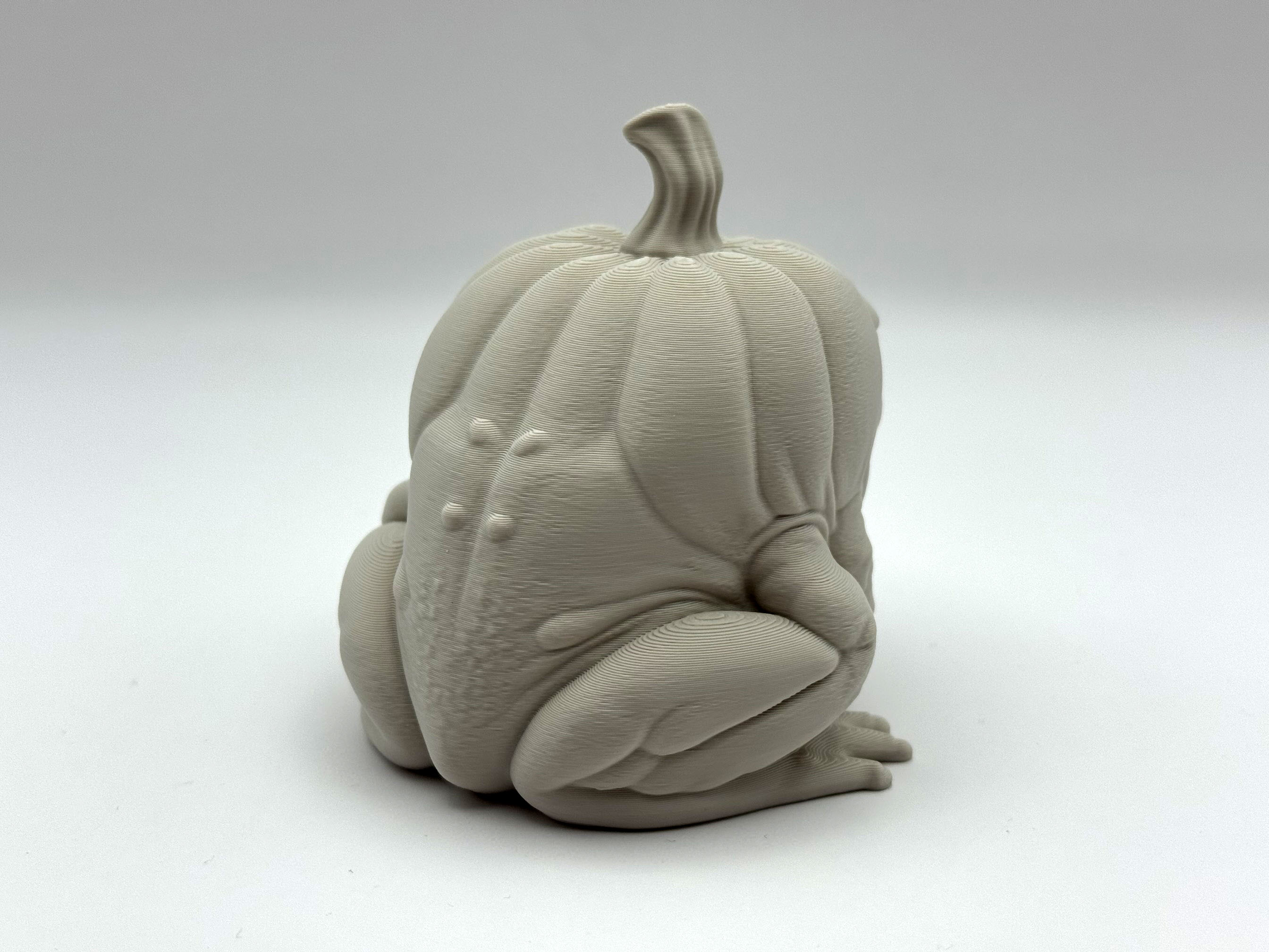 Miniatura 5 do modelo 3D Grumpy Frogkin