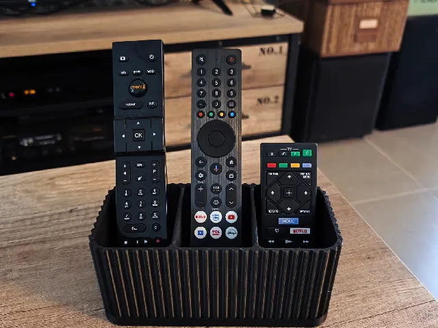 Organisateur de telecommande