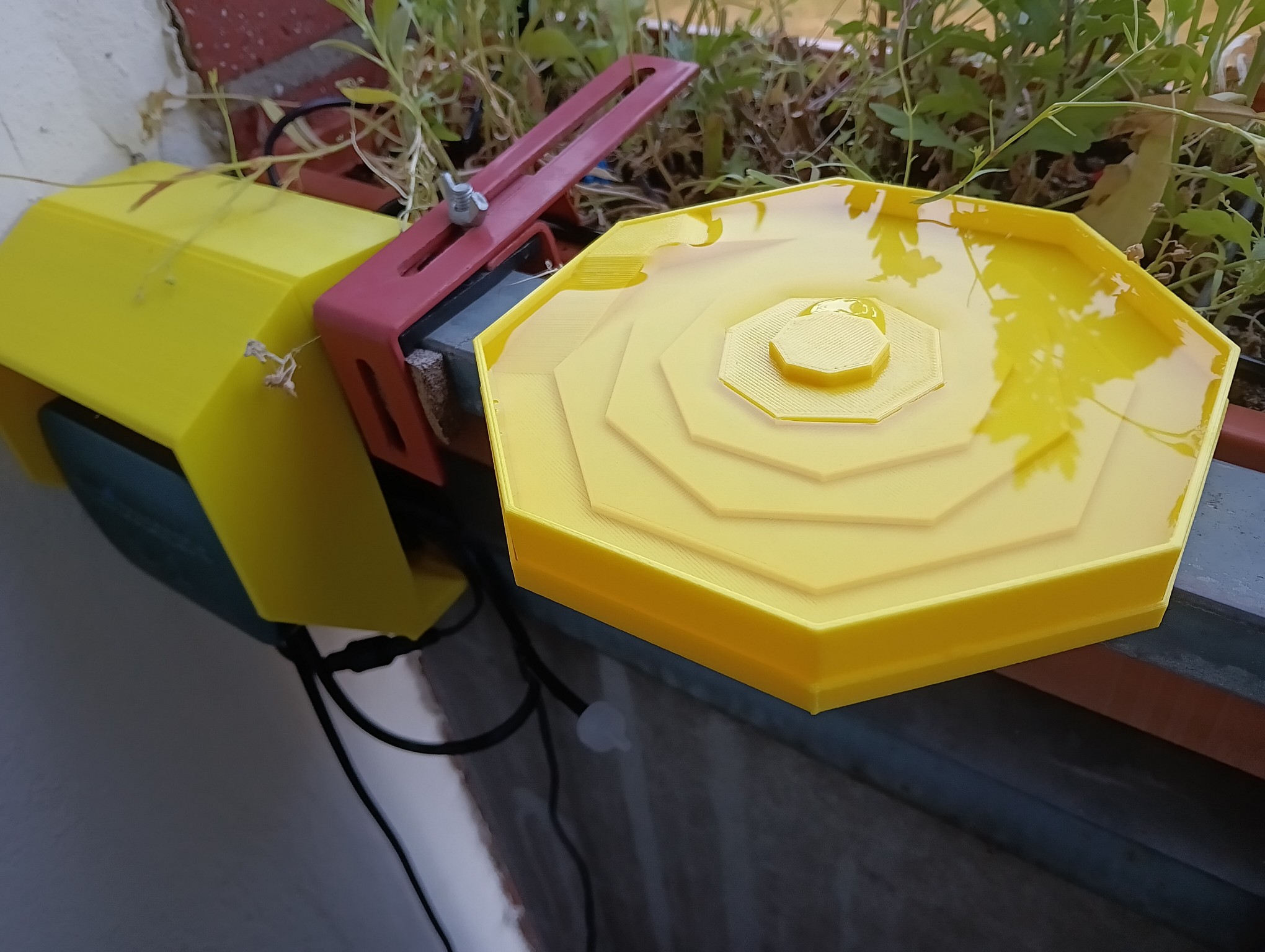 Insect Watering Trough