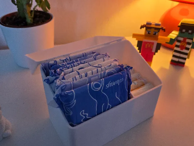 PARAMETRIC Sanitary pad box