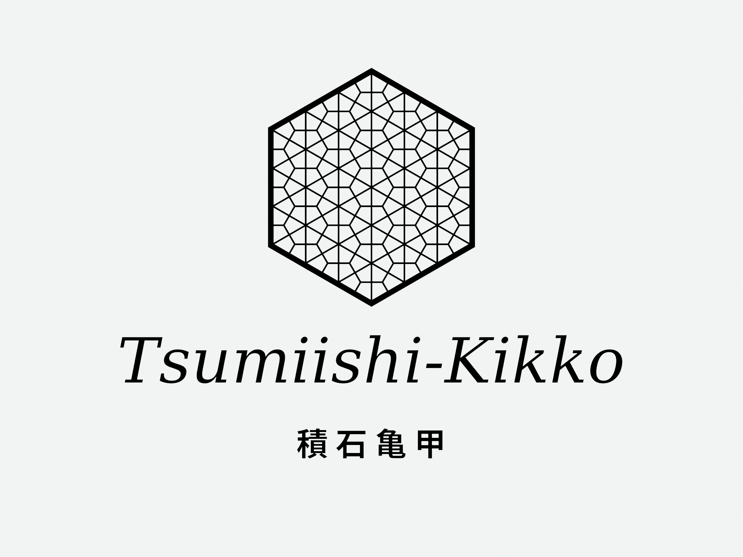 Miniatura 9 do modelo 3D Kumiko Coasters - Hexagonal