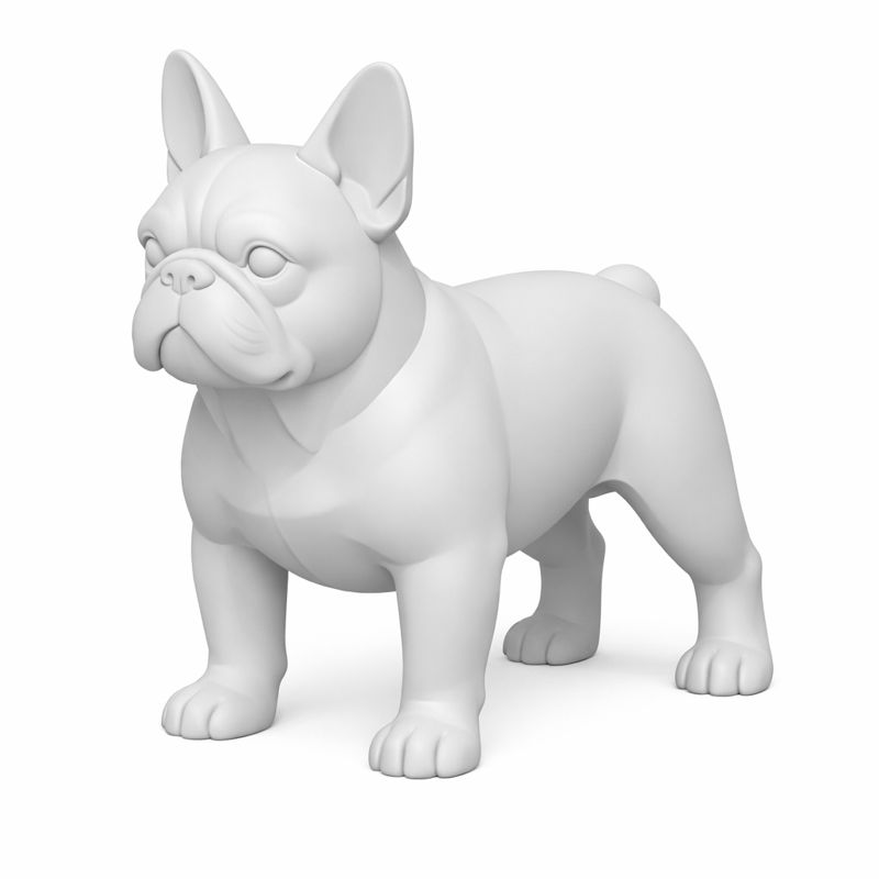 French bulldog