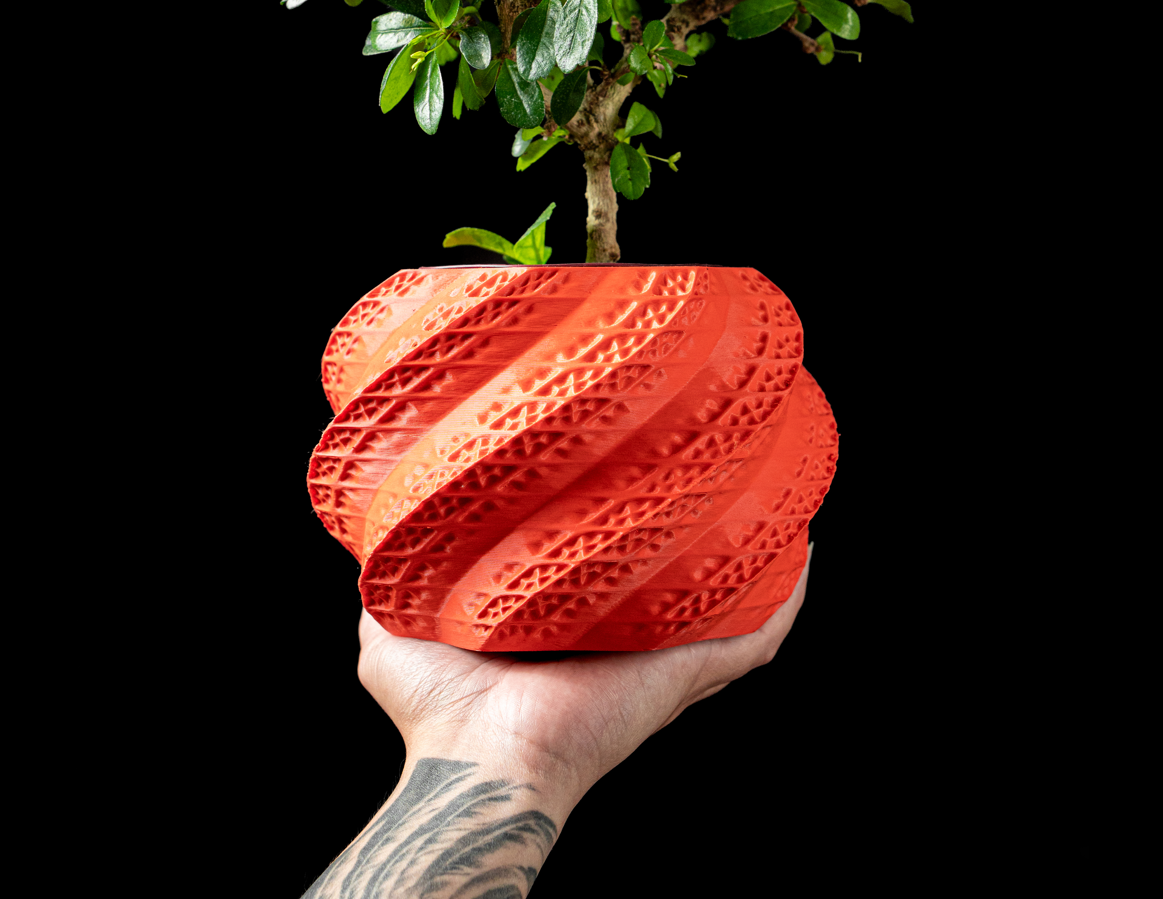 Shell Planter Pot by MODERN MACHINE