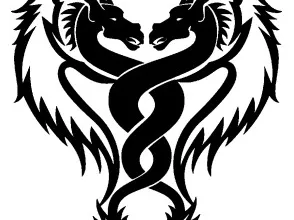 Two dragons in love