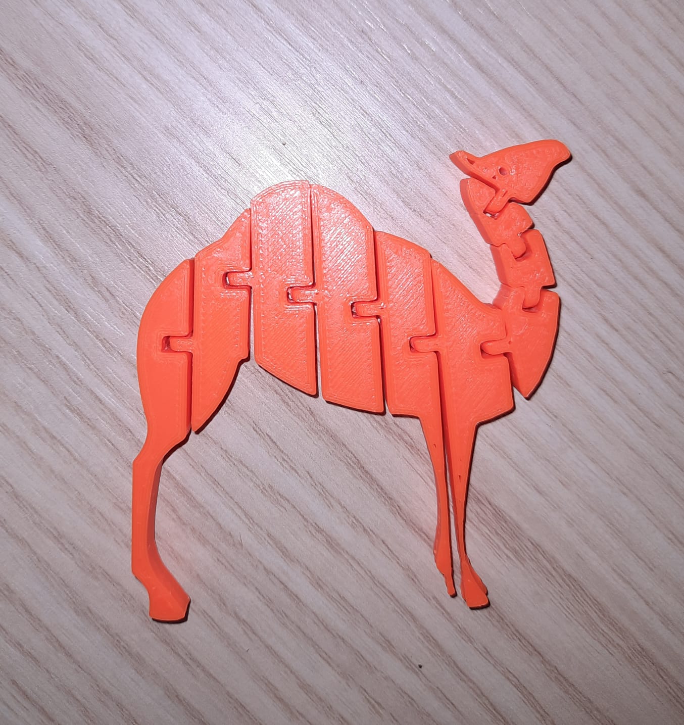 Flexi Camel