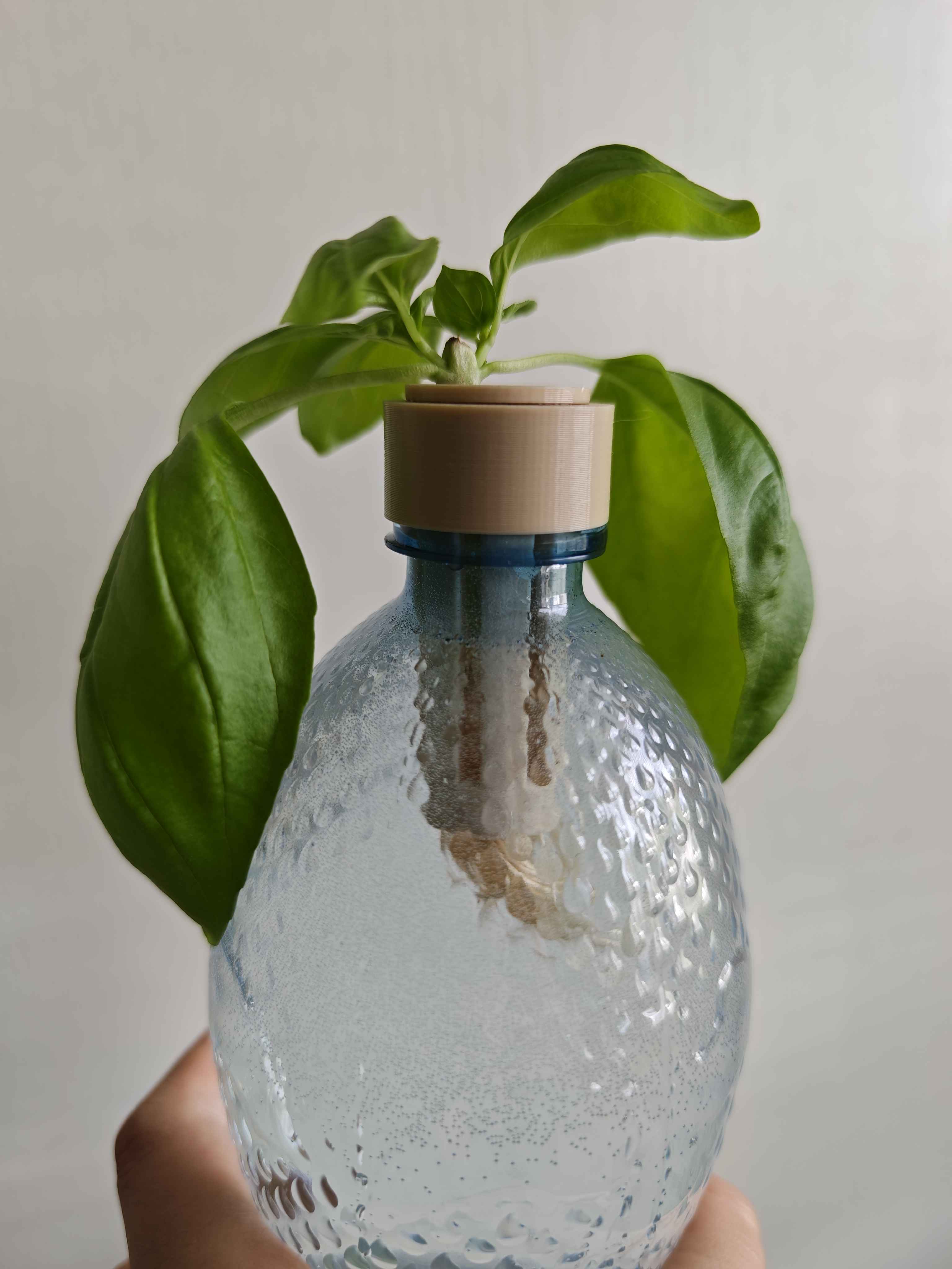 PET Bottle Hydroponics Kit — Net Pot + Snap Caps for 28 mm & 38 mm Bottles (Kratky)