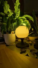 Minimalist E27 Table Lamp