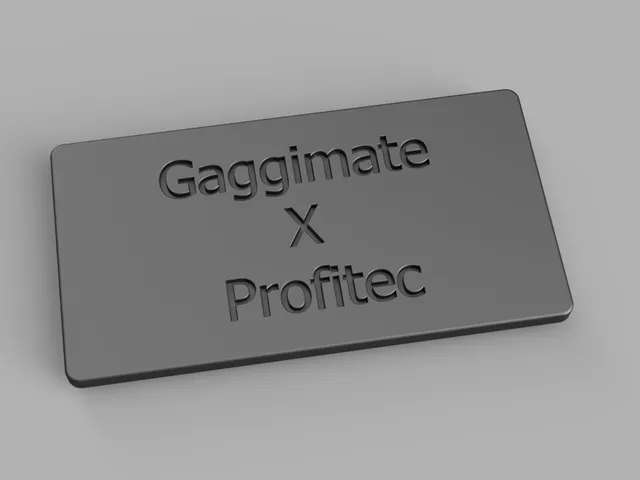 Gaggimate X Profitec Go Logo Plate