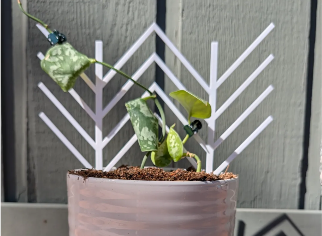 Wavy Trellis plant supporter