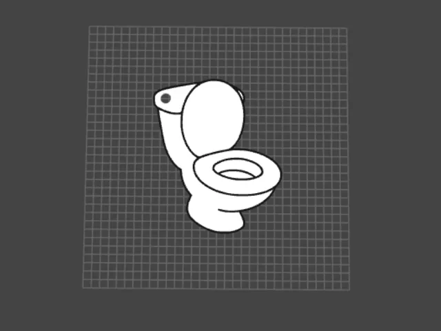 Llavero wc