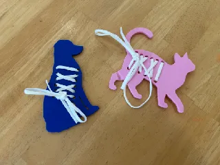 Cat and Dog Shoelace Trainers
