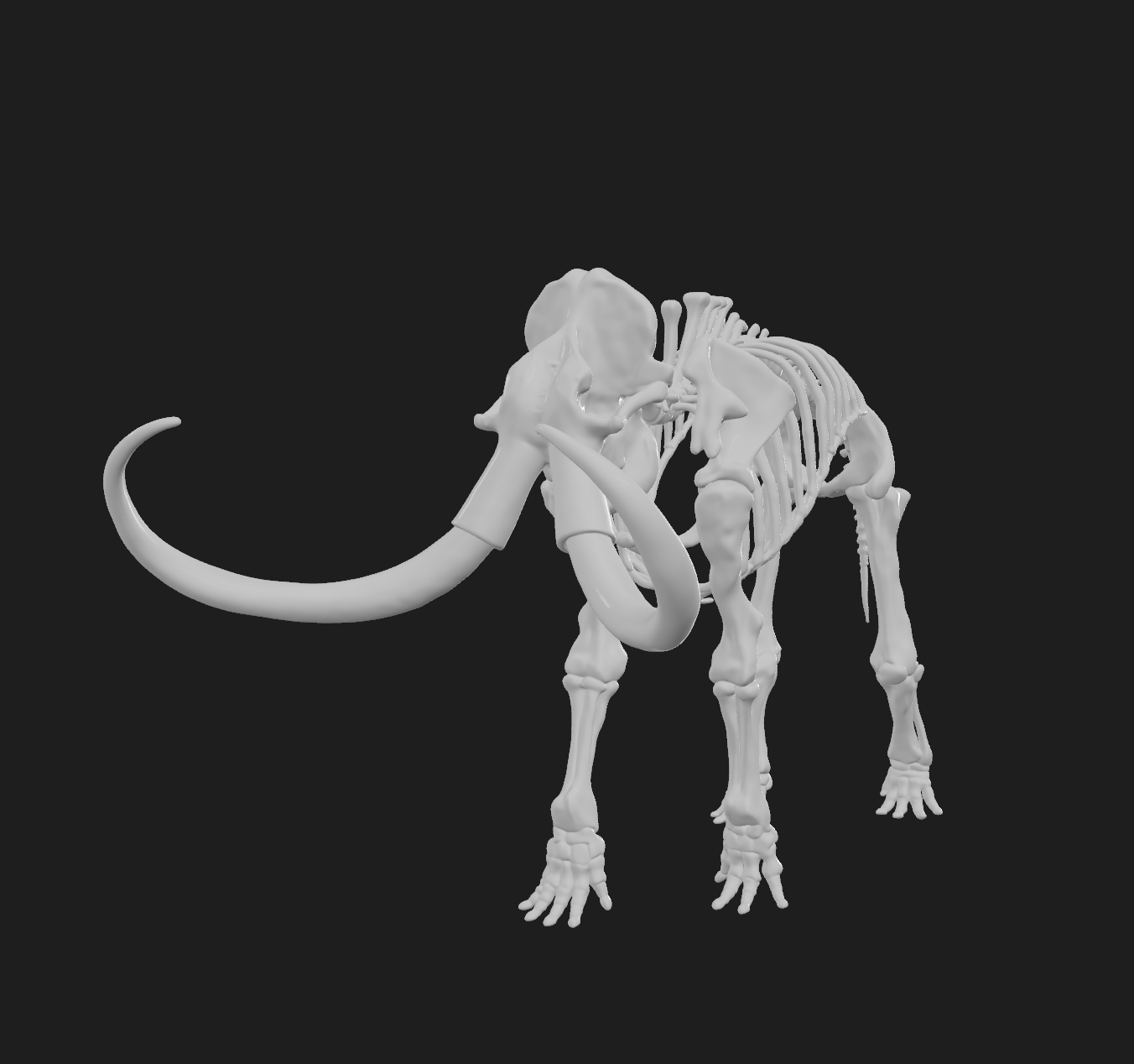 wully mammoth skeloton