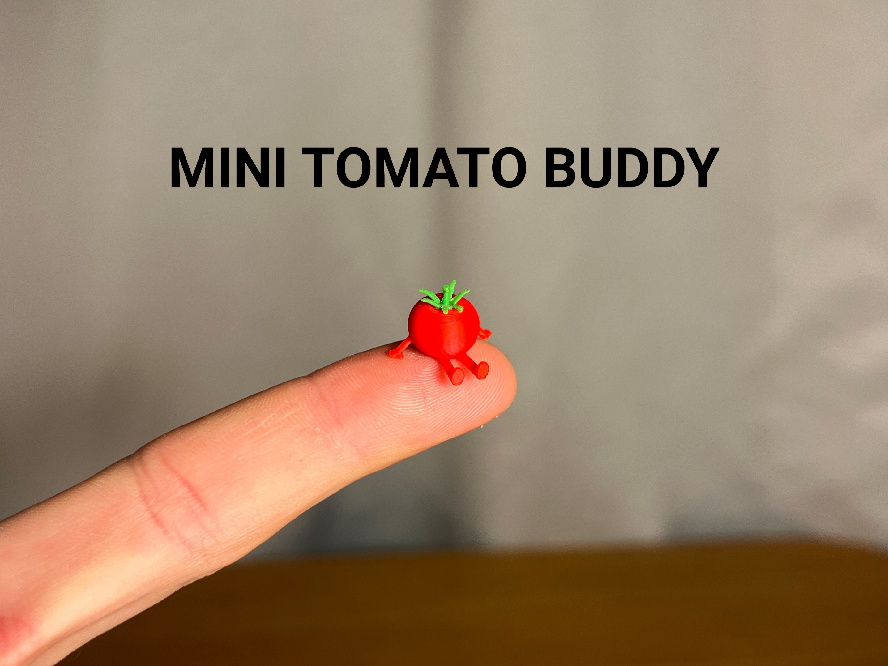 Mini Tomato Buddy