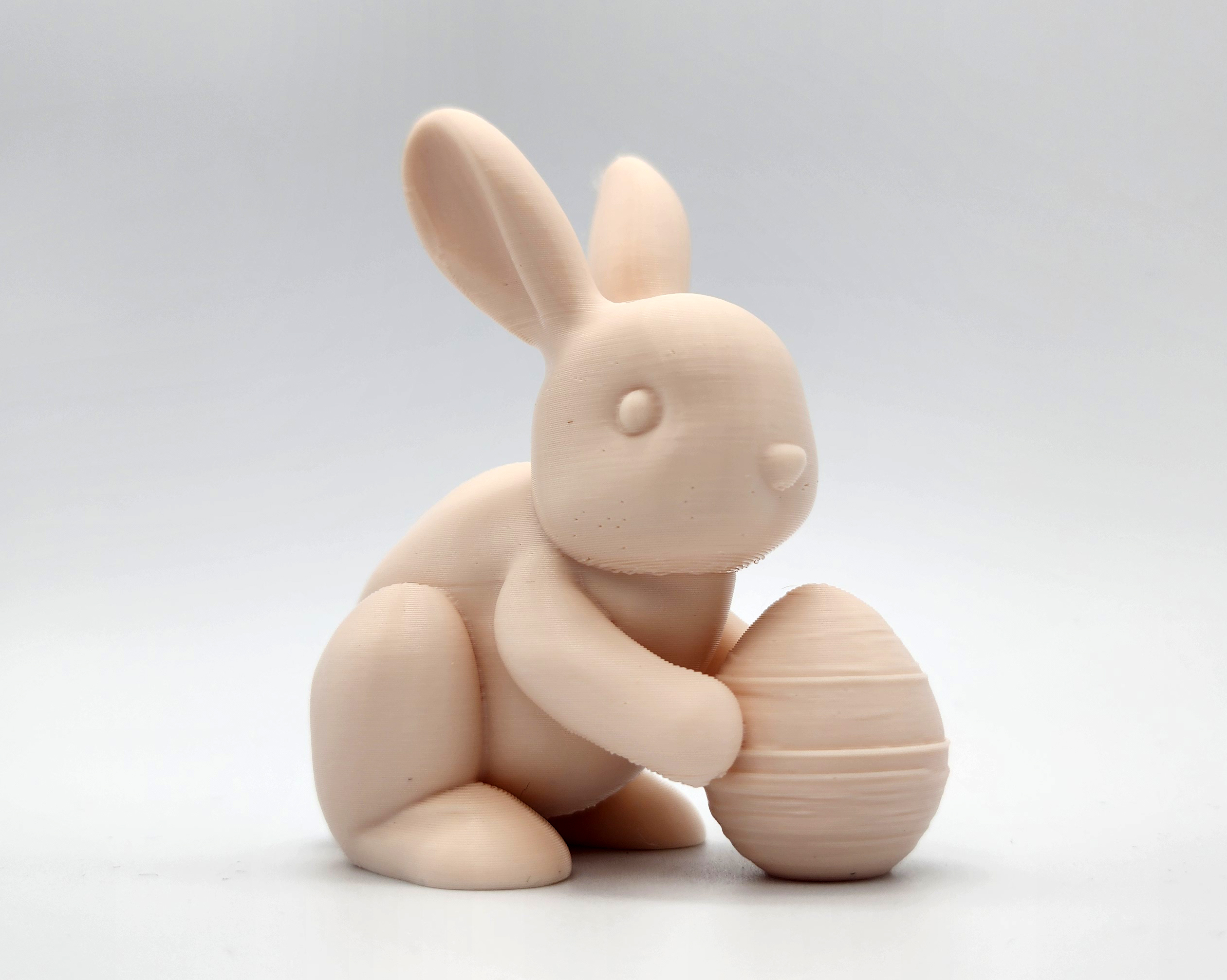 Miniatura 3 do modelo 3D Bunny with Easter Egg