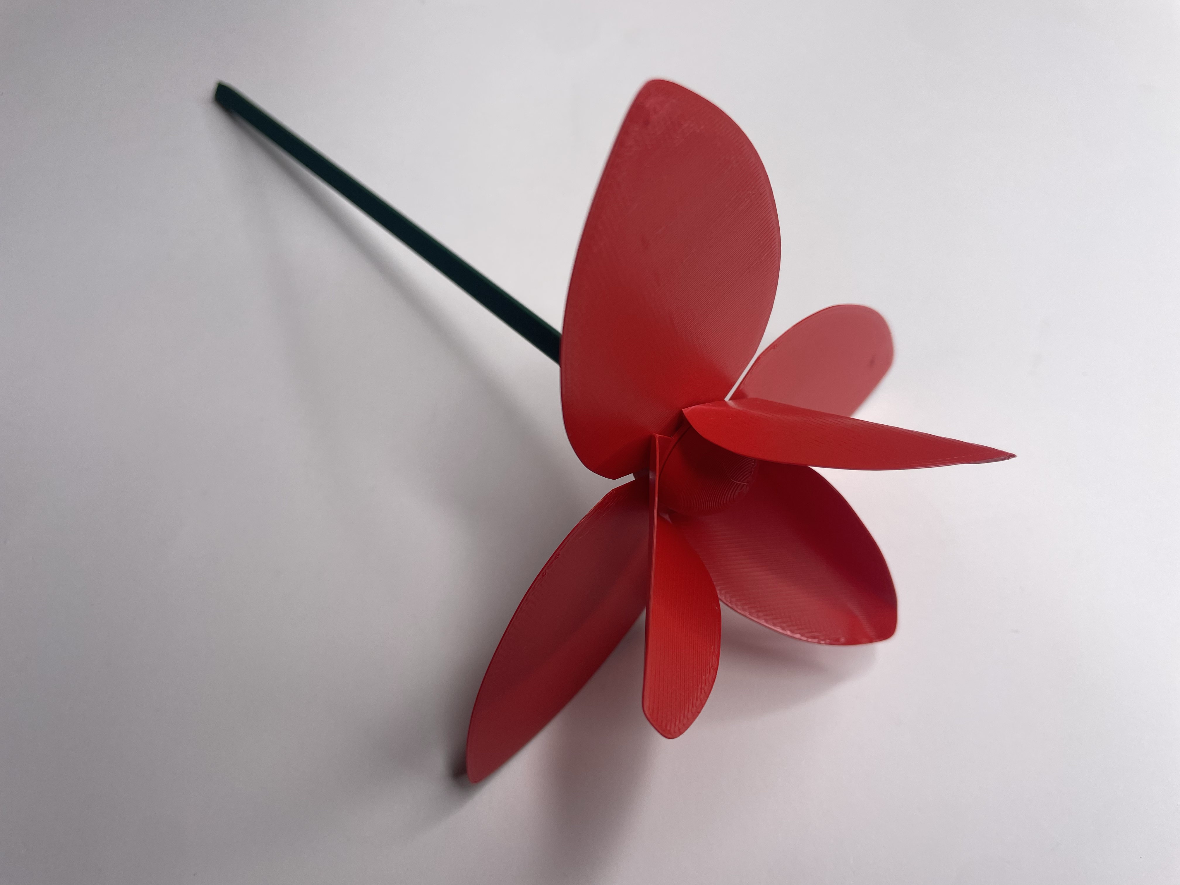 Tulip — thumbnail 13