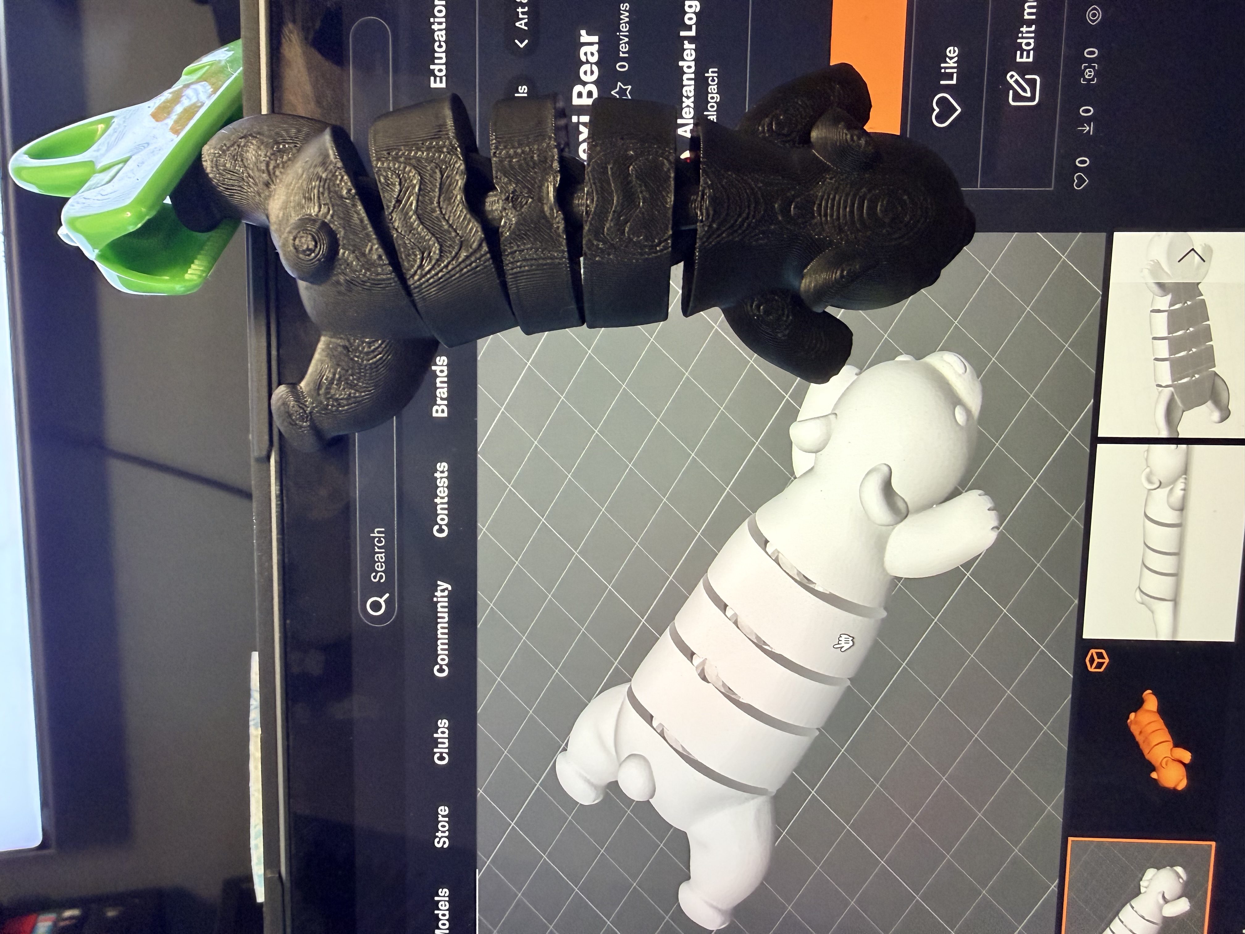 Flexi Bear