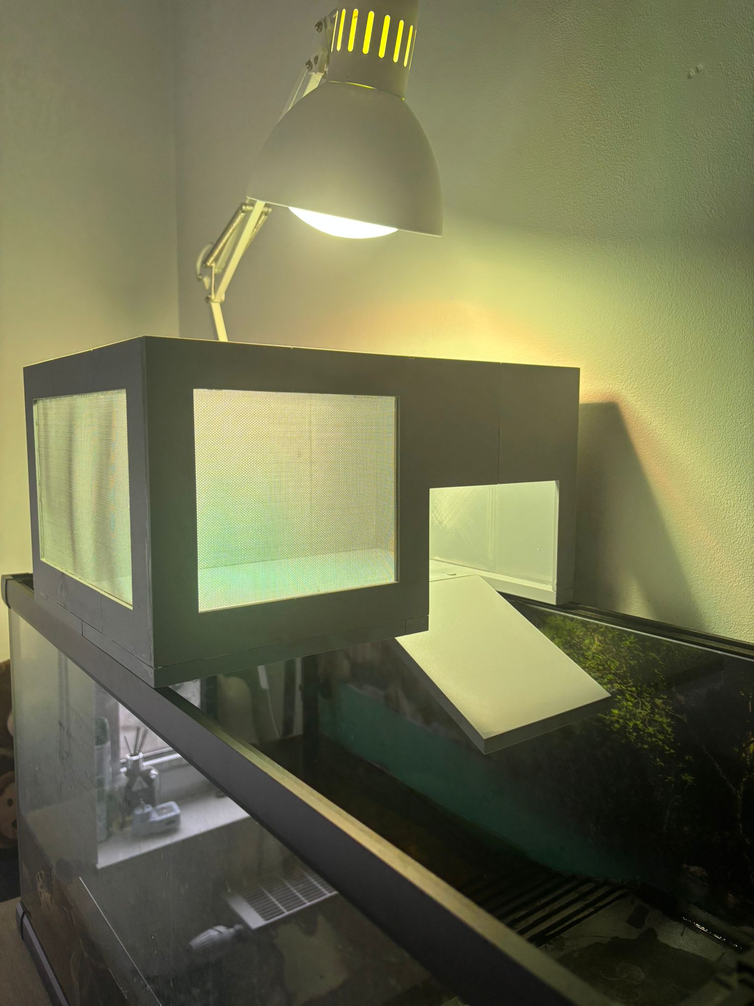Above Tank Turtle Dock + 16/22 Cannister Hose Clip + Filter Intake/Exhaust/Temp Controle Oregniser Box