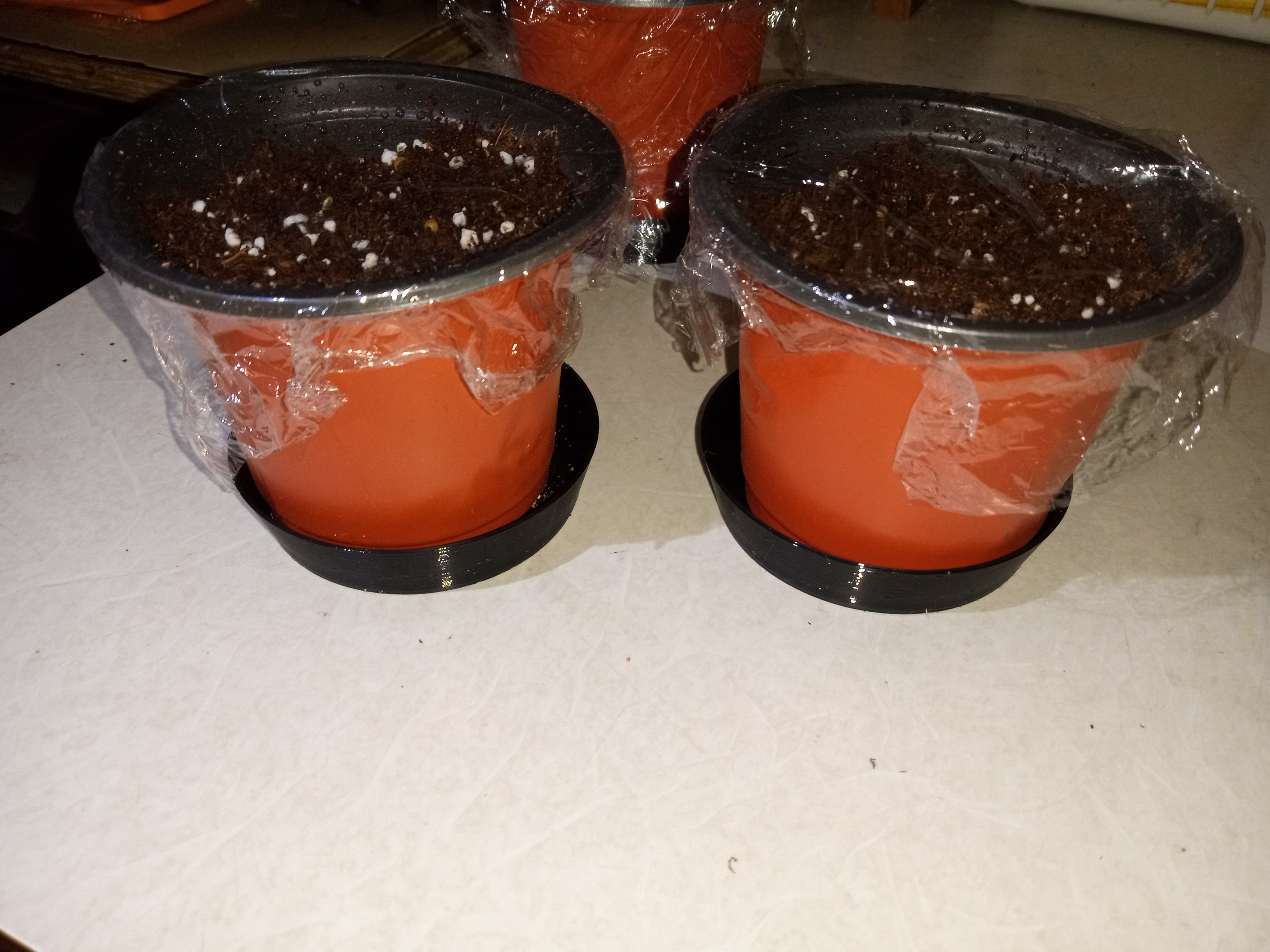 Plant Starter Pot Drip Tray - Vase mode