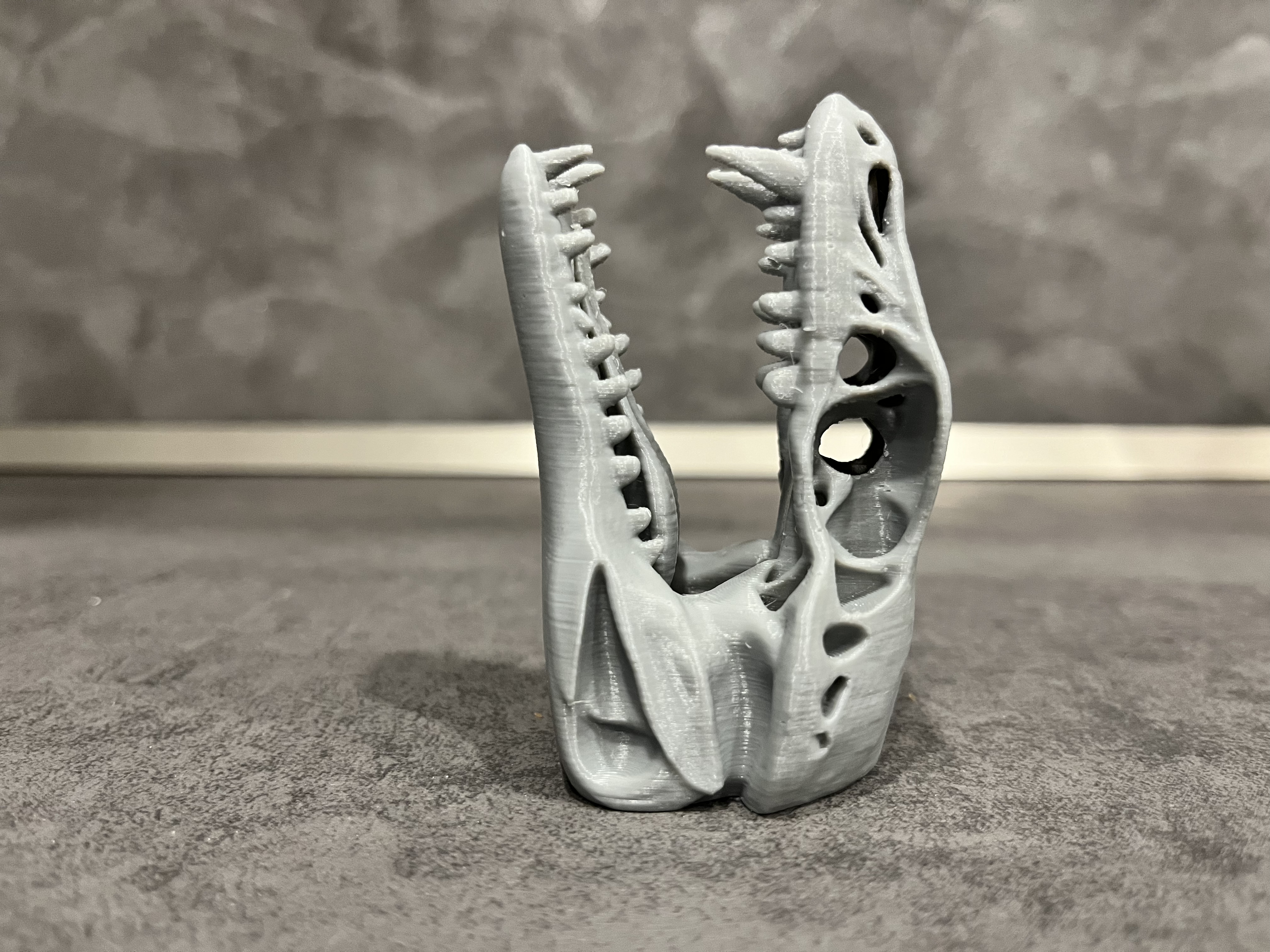 Fossil of the Legendary Splashodrake