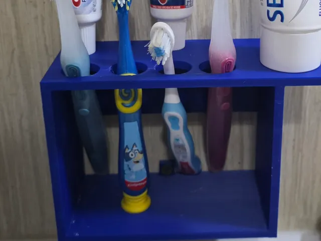 tooth brush holder