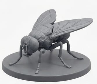 Housefly Statue