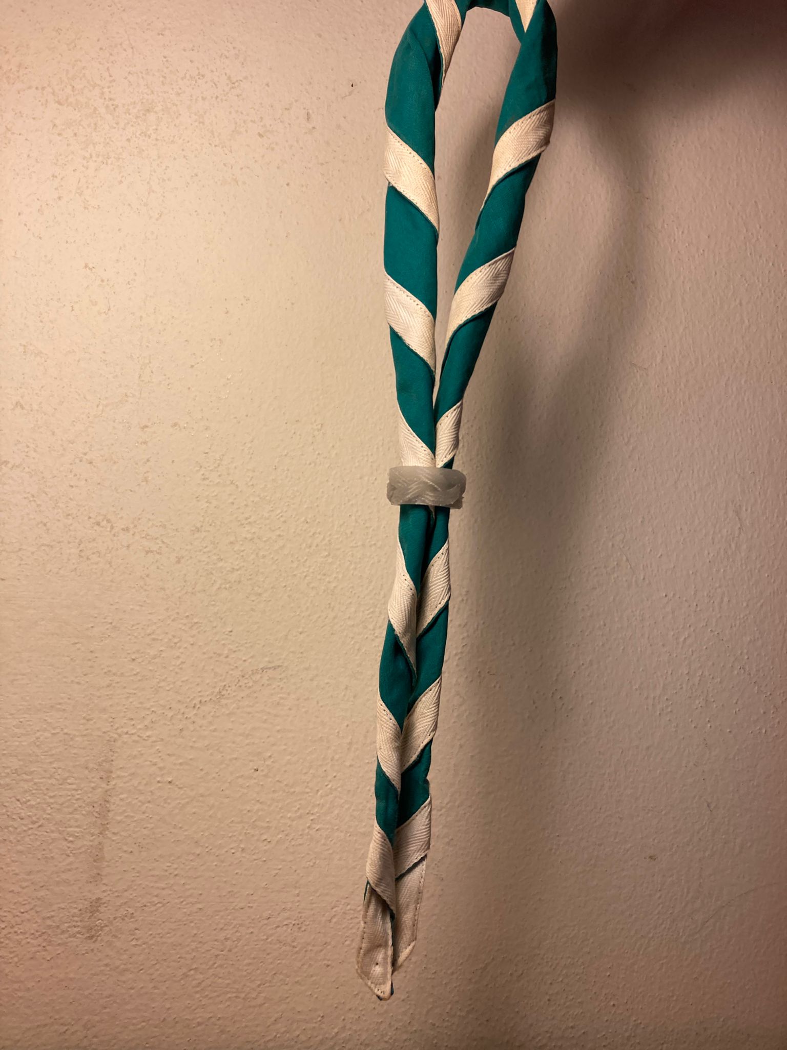 Scout Woggle — thumbnail 6