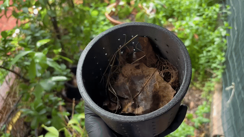 Mini Composter – For Home & Learning — thumbnail 7