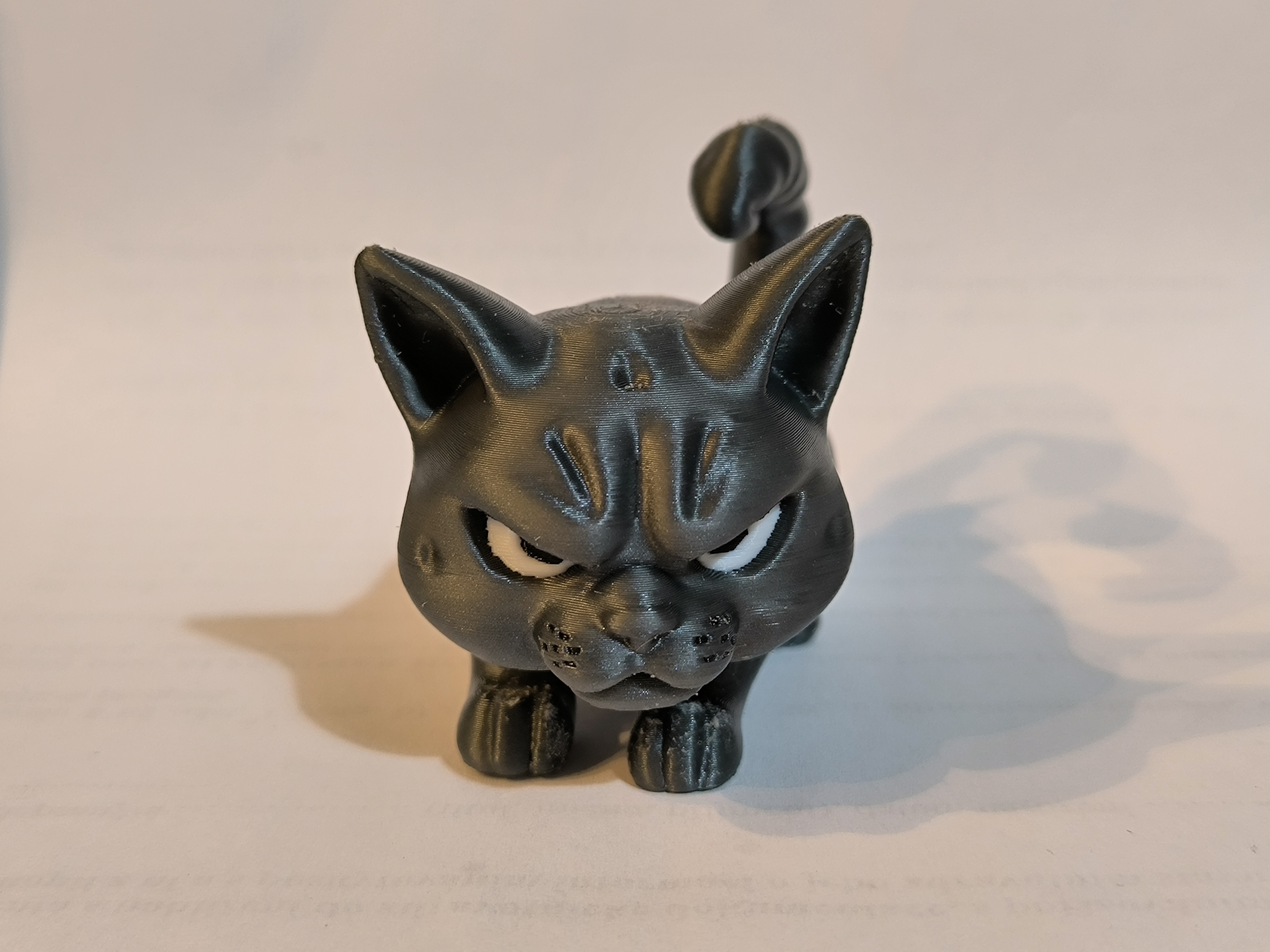 Miniatura 2 do modelo 3D Angry Cat