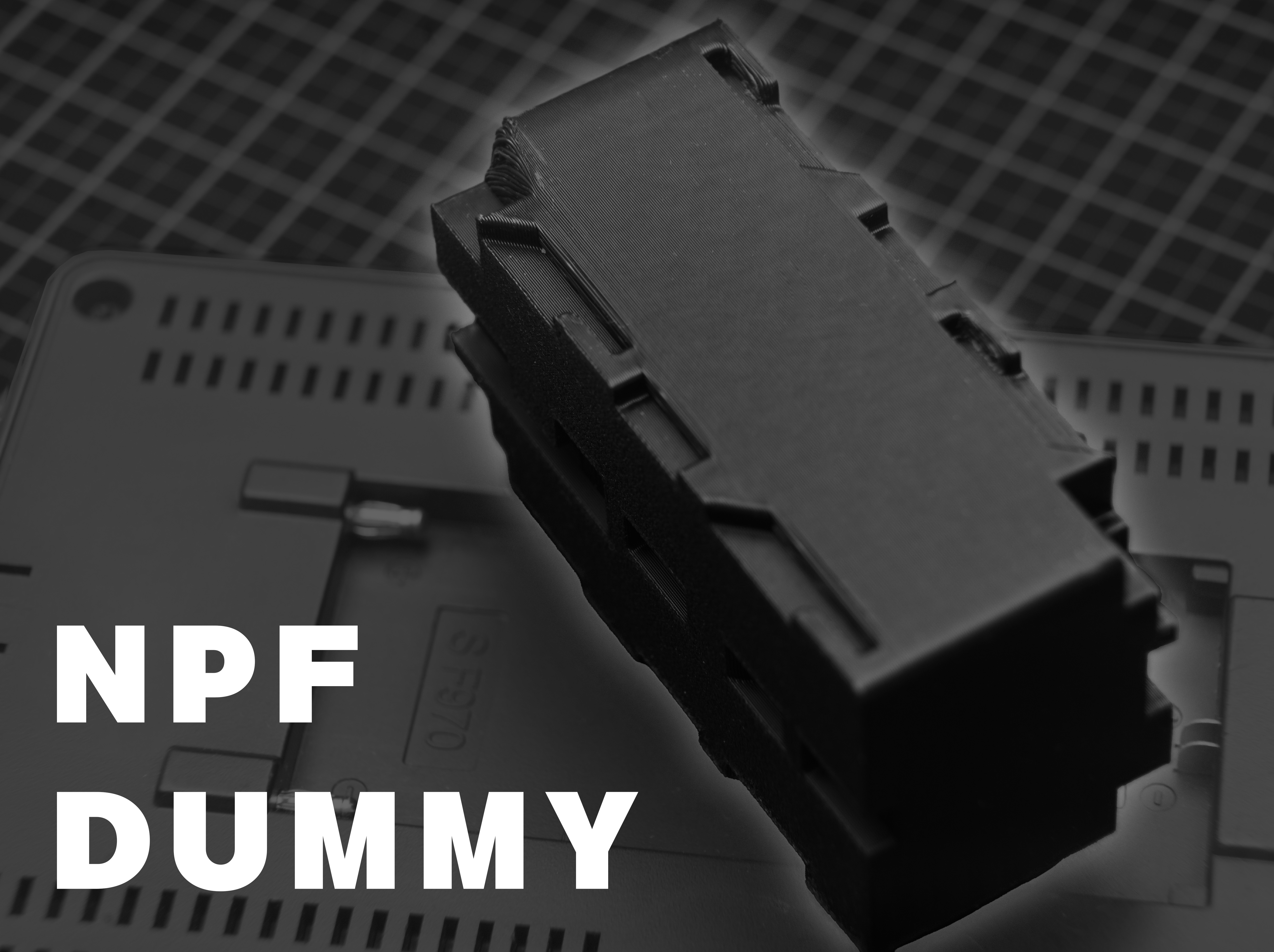 Double sided NP-F550 dummy