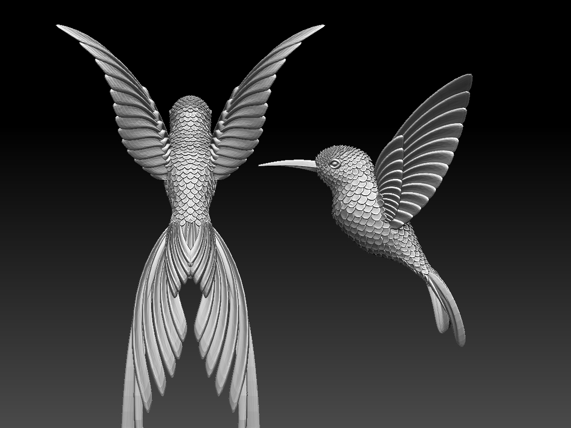 hummingbird — miniatura 6