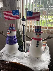 American Flag