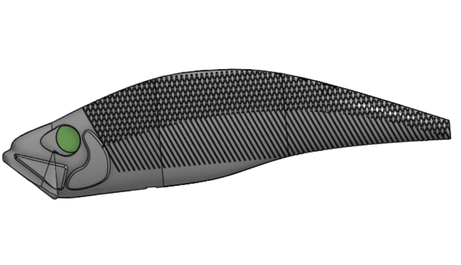 Fishing Lure for trout