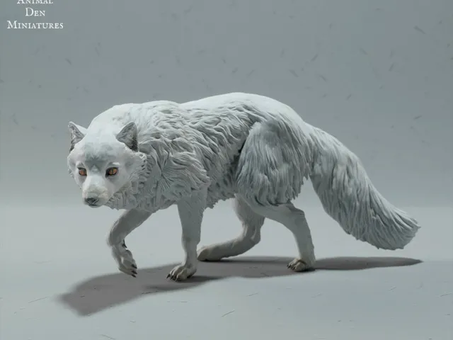 arctic-fox