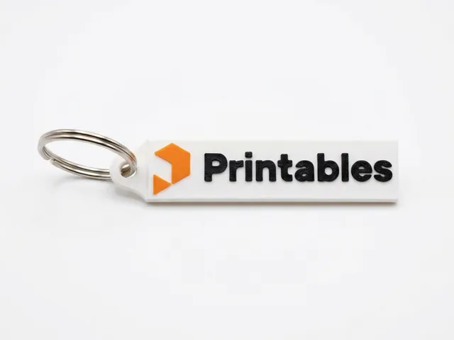 Printables Keychain