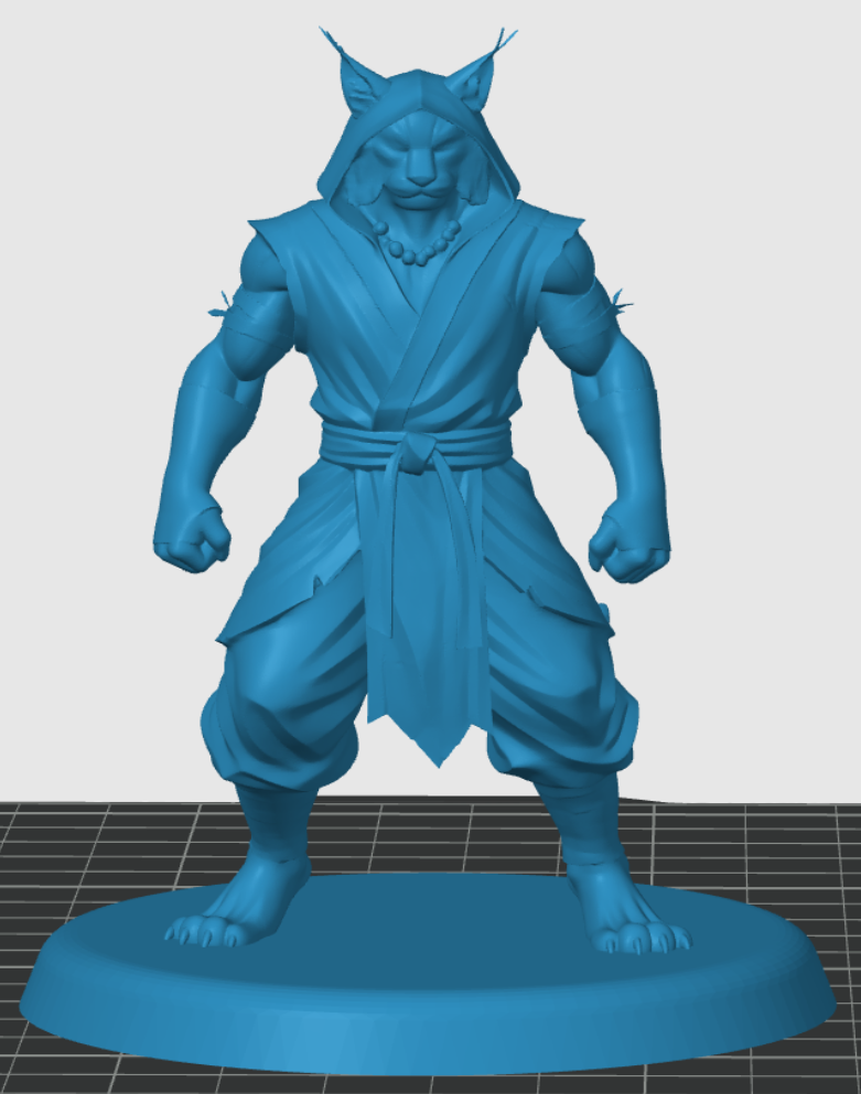 Tabaxi Monk — miniatura 5