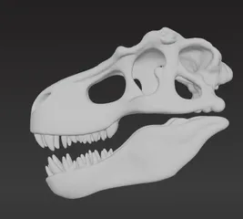 T-Rex Skull