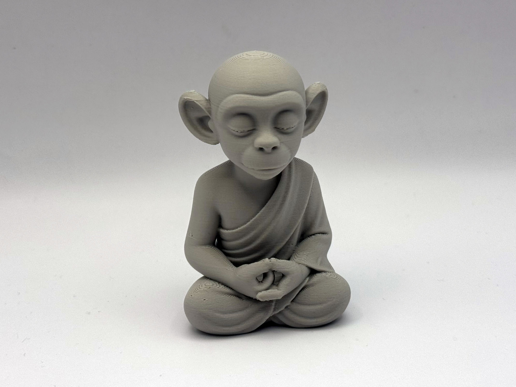 Zen Monkey Monk