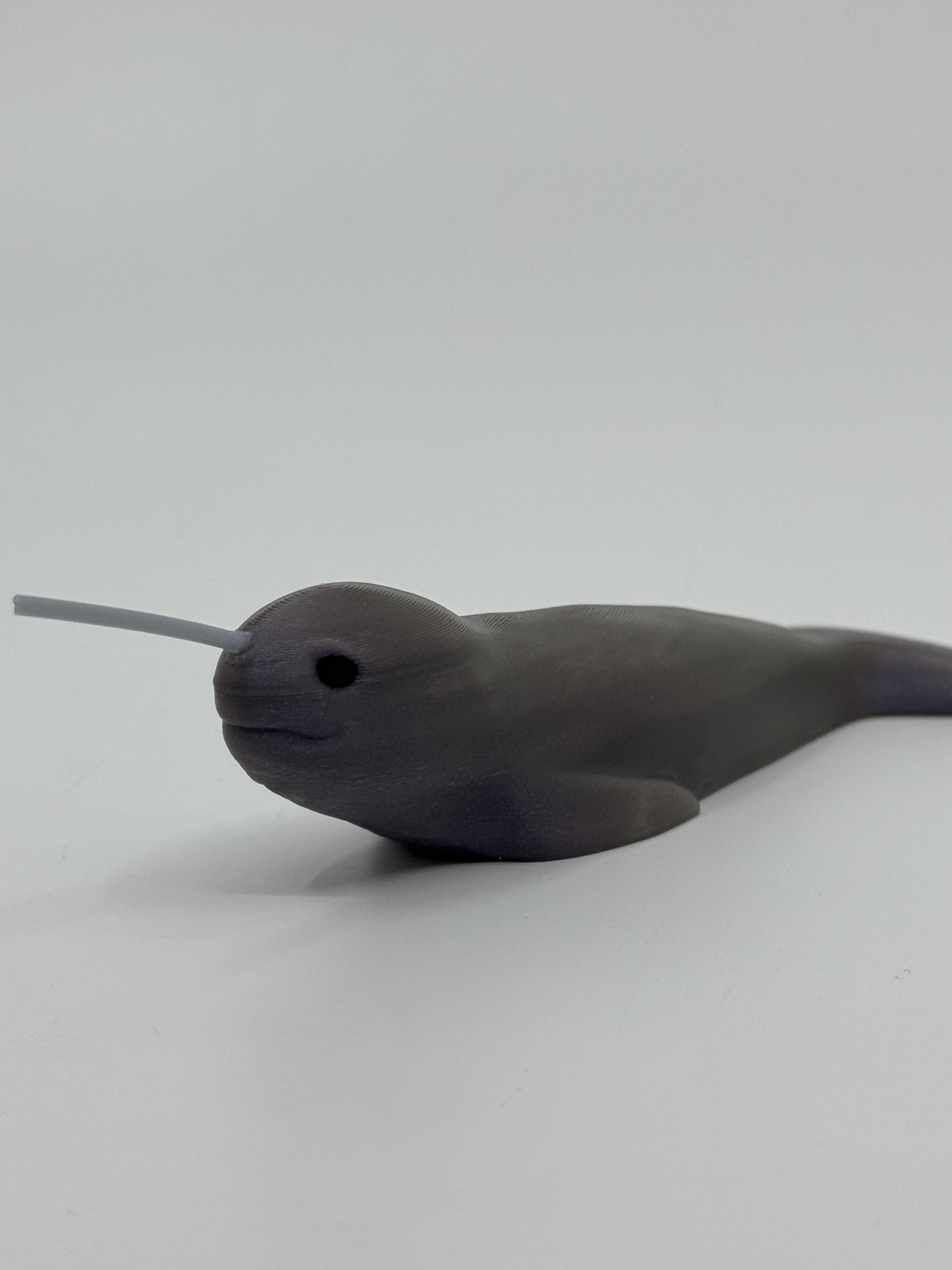 Narwhal — miniatura 3