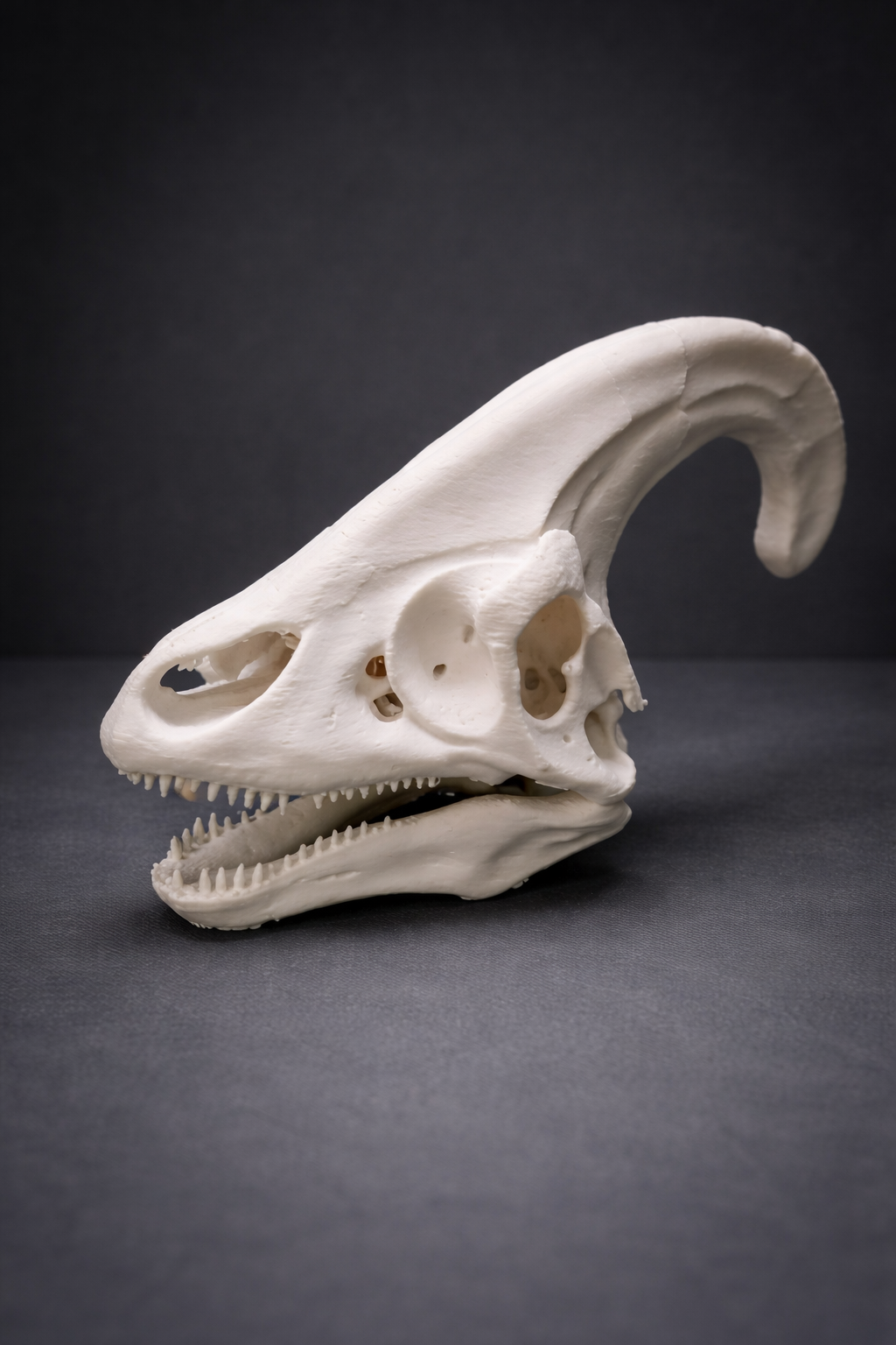 Parasaurolophus Schädel (Realistisches Dinosaurier Fossil) 3D model by AlphaPrint
