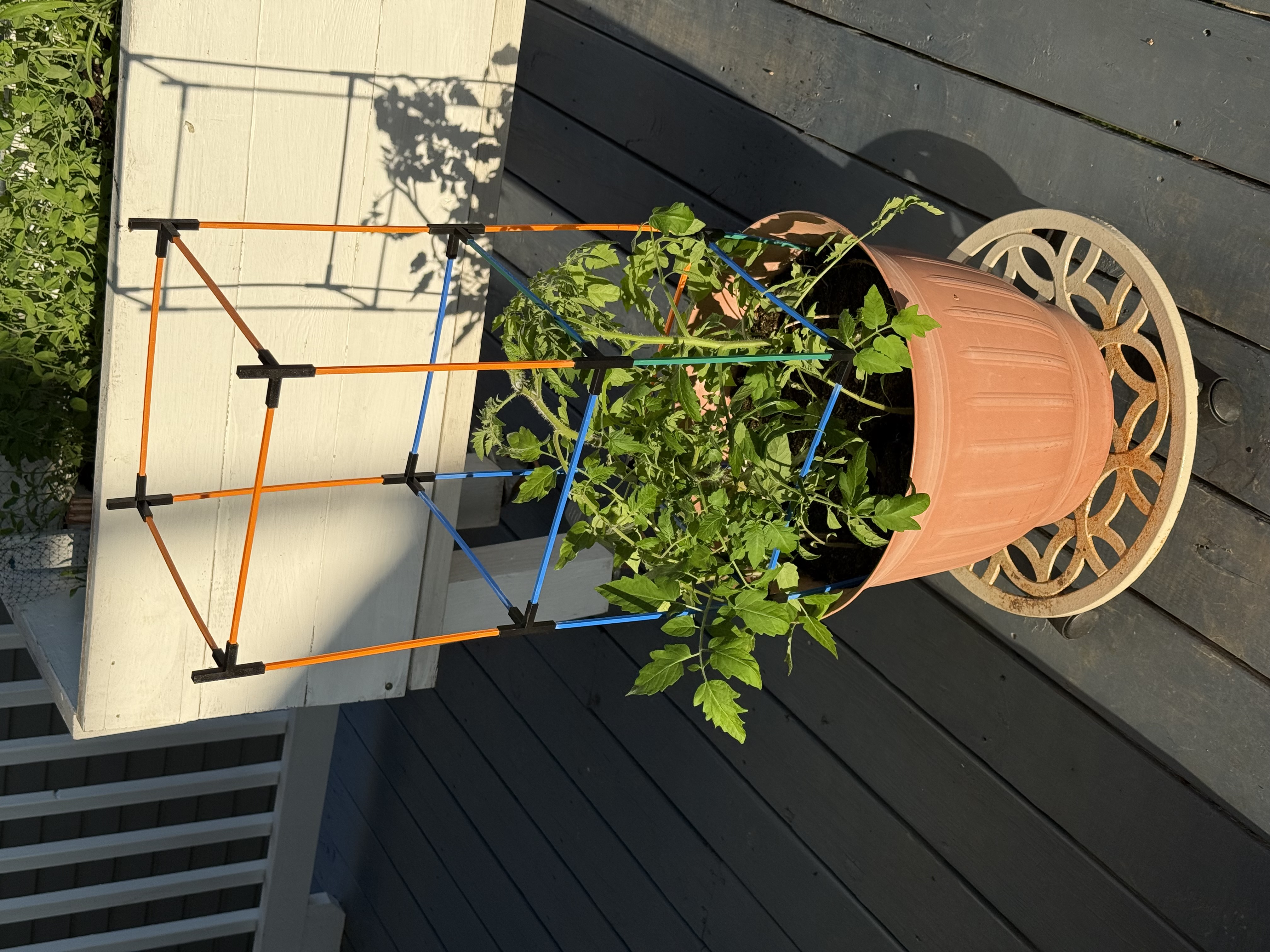 Tomato Plant Support Cage