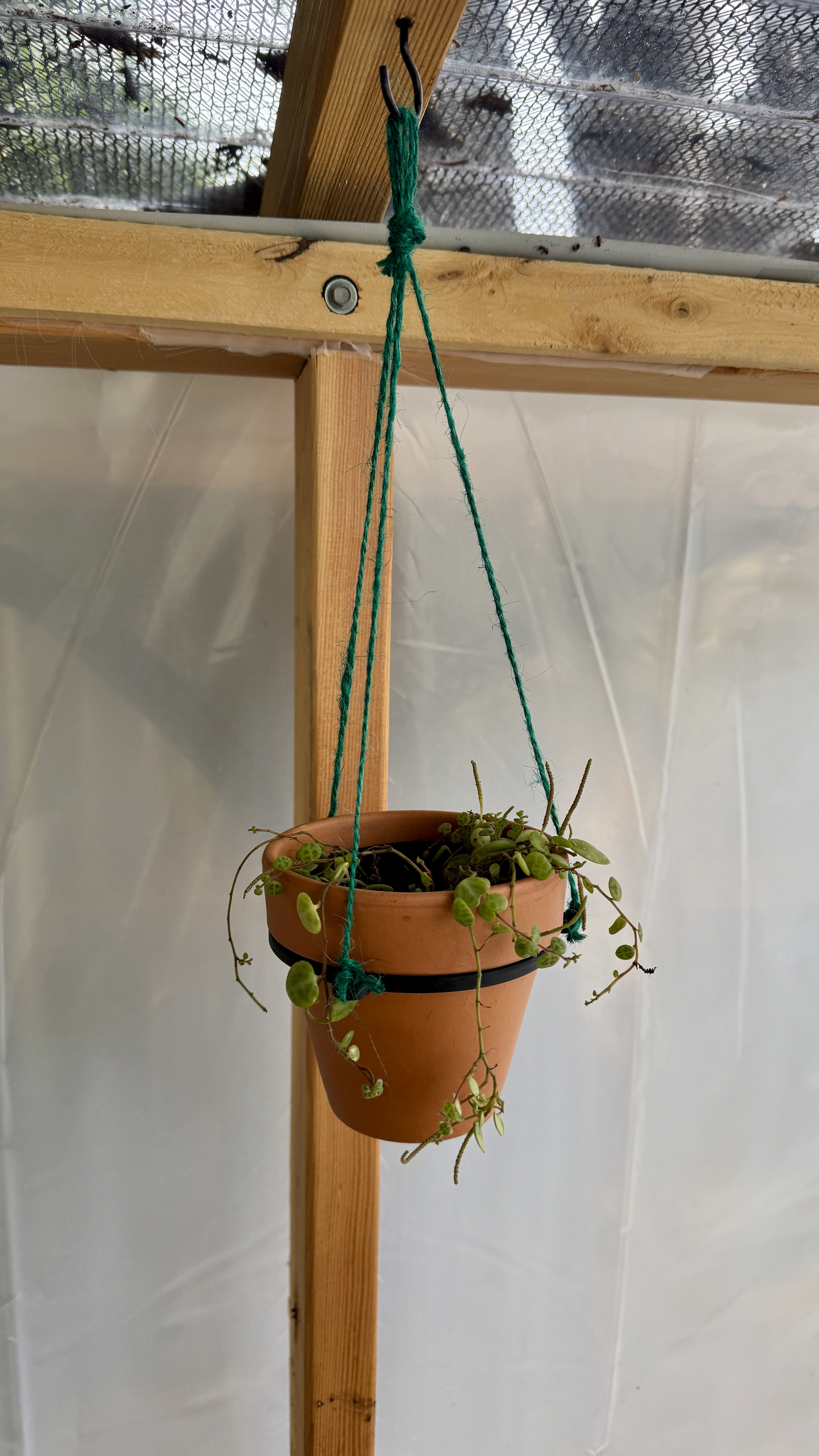 Miniatura 2 do modelo 3D Universal Hanging Planter Ring