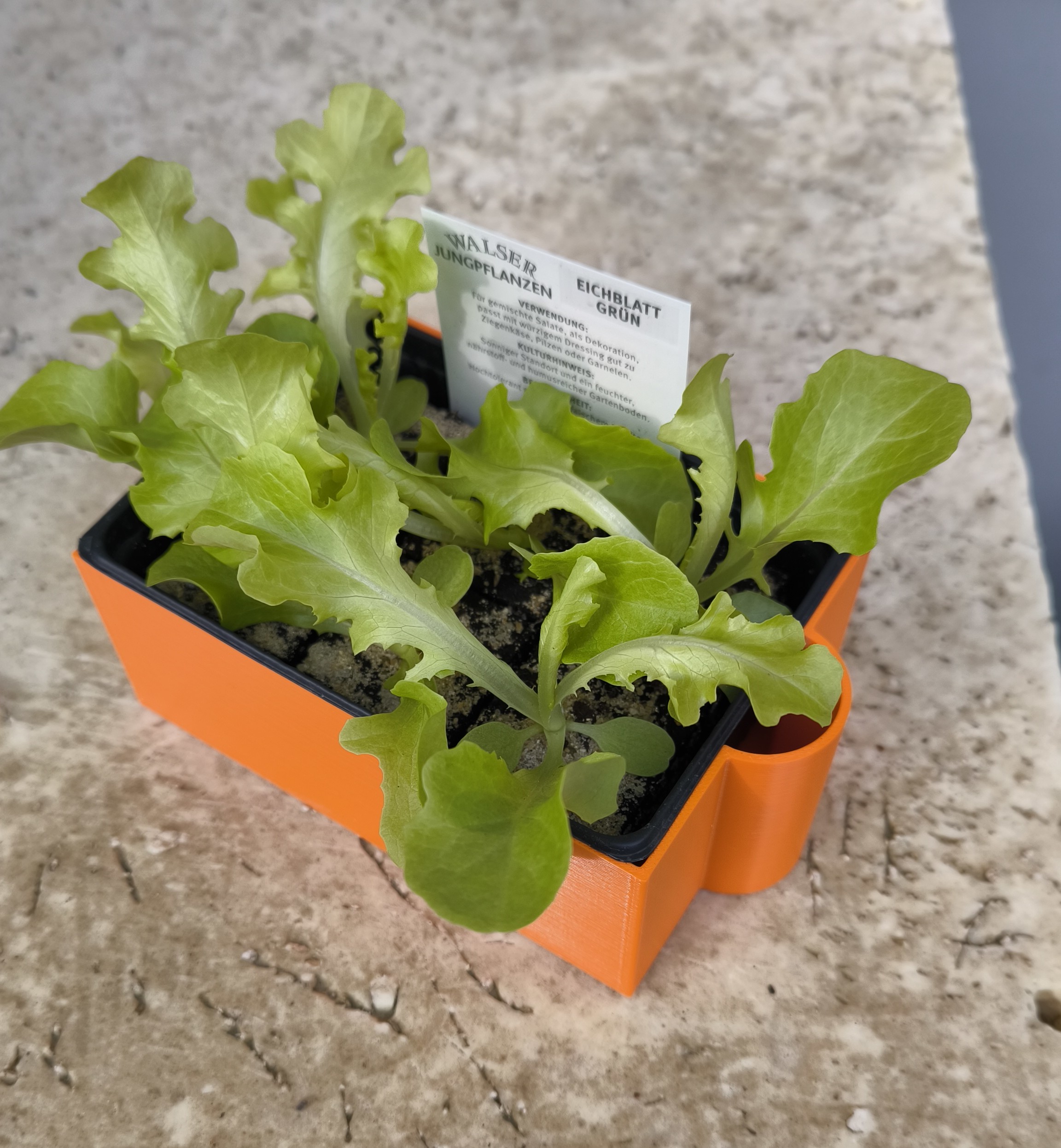 Plant Tray 3D model
