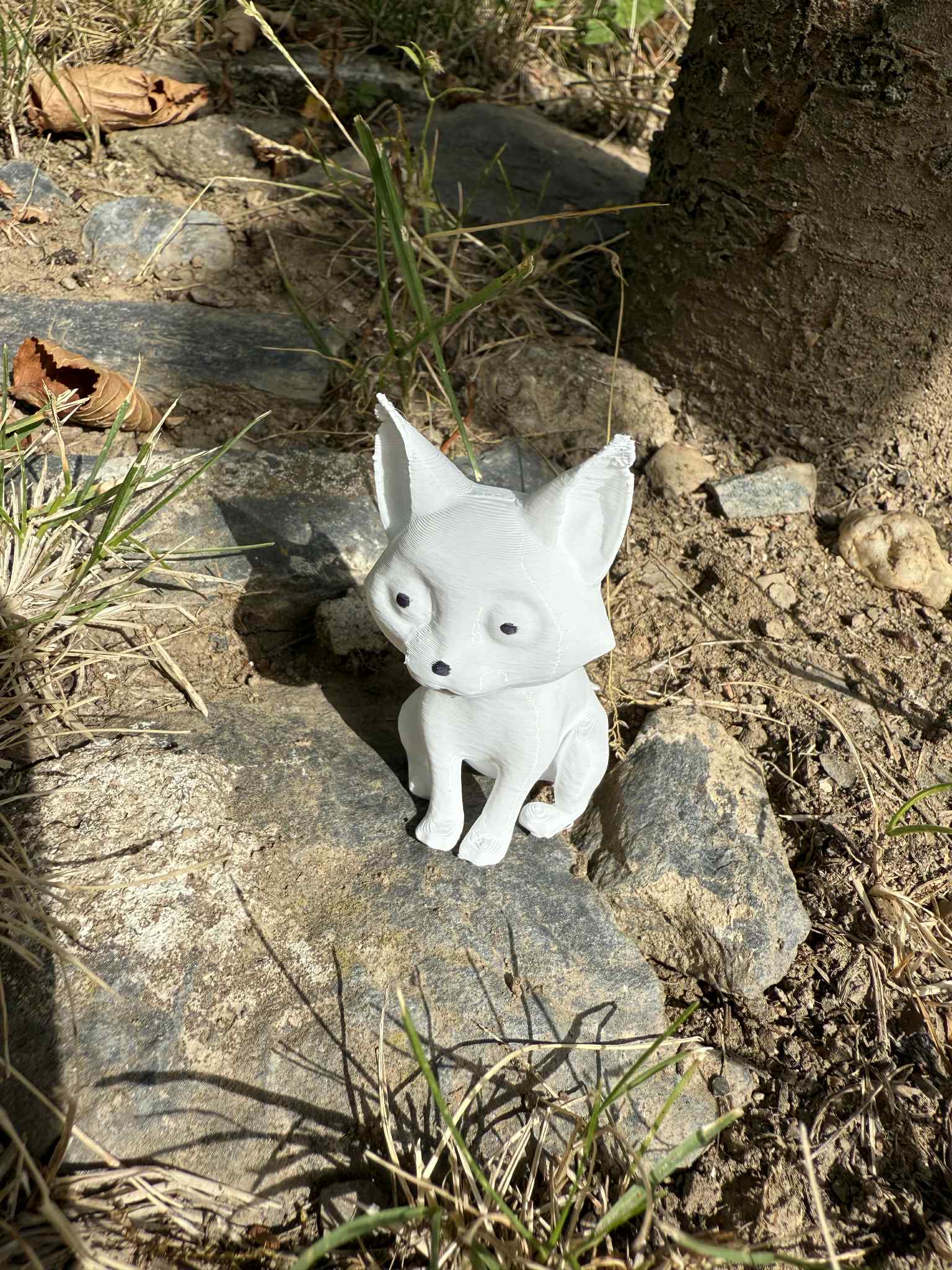 Sitting cute/creepy cat